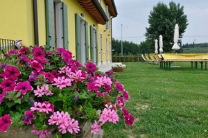 Agriturismo Ai Ciliegi - Bardolino