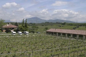 Agriturismo Tre Colline - Bardolino