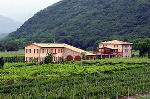 B&B Ca' Vettor - Bardolino (Affi)