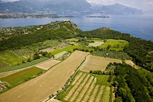 Azienda Agricola Cavazza
