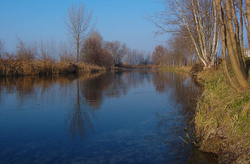 Parco del Mincio