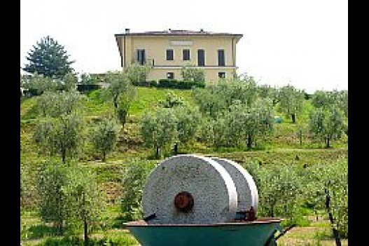 Azienda Agricola Manestrini